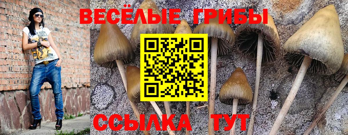 Псилоцибиновые грибы мицелий  Вход с VPN  Краснодар 