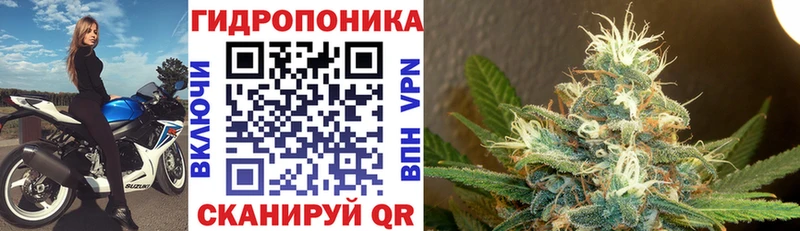 где продают наркотики  Краснодар  Марихуана сатива 